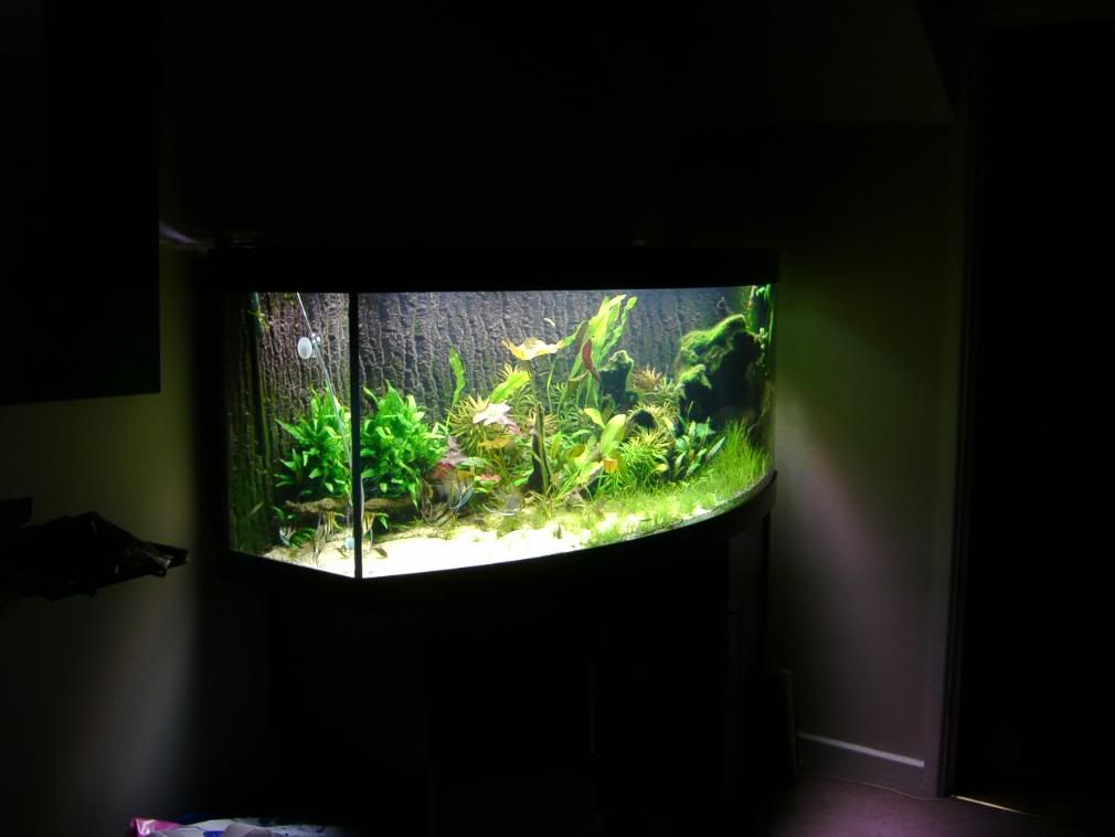IMAG0019-3.jpg
