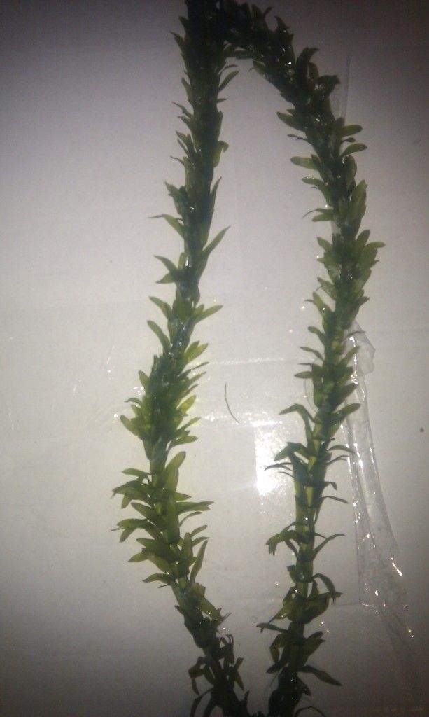 IMAG0291.jpg