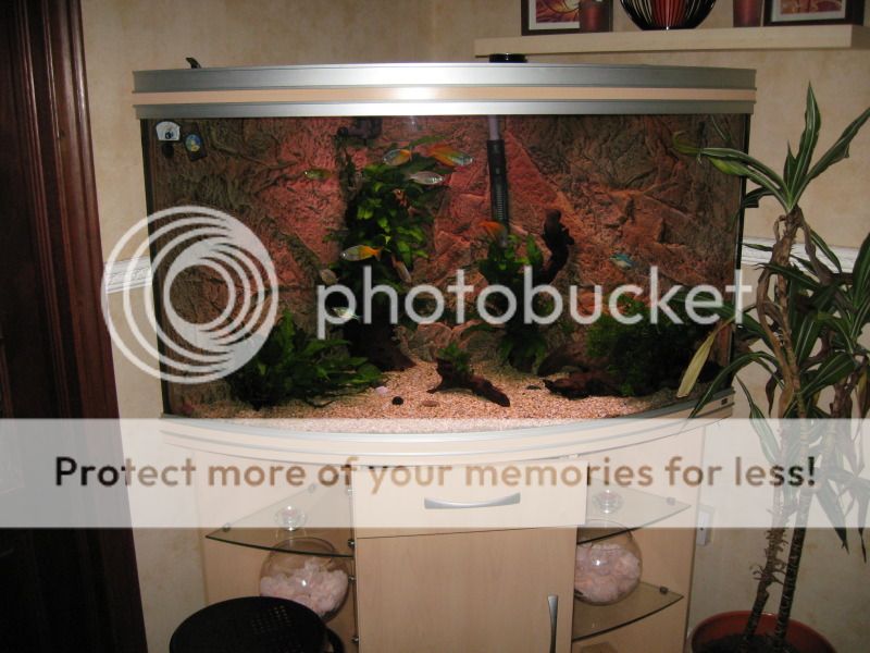 IMG_0496_zpsdcc92f89.jpg