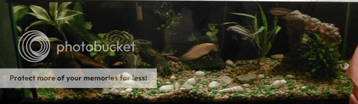 30gal.jpg