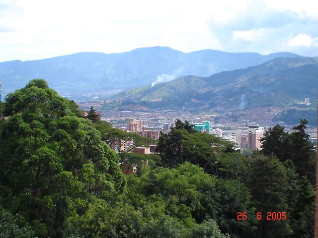 DSC00519.jpg