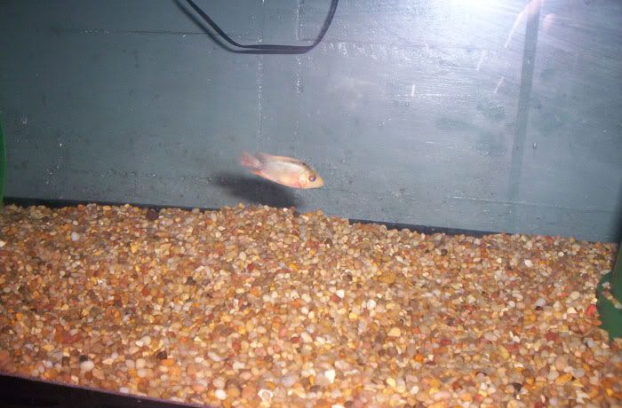 100_6229.jpg