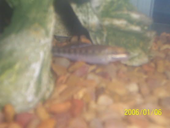 000_0729.jpg