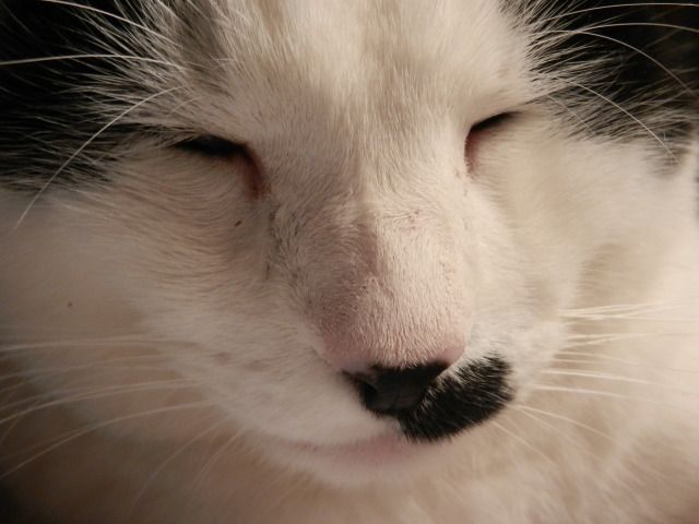 DSCN2503-1.jpg