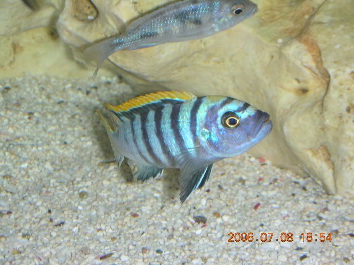 DSCN1113.jpg
