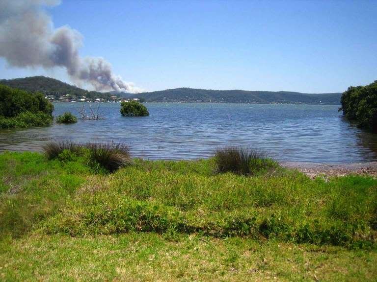 fire1.jpg