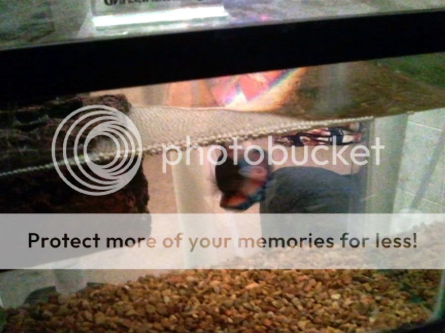 2011-04-28234519-1.jpg