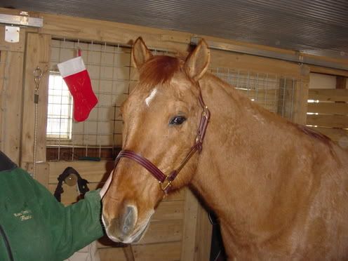 yayponies034.jpg