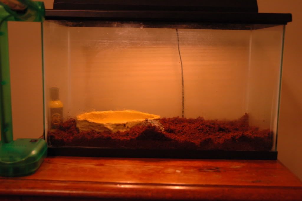DSC_4150.jpg