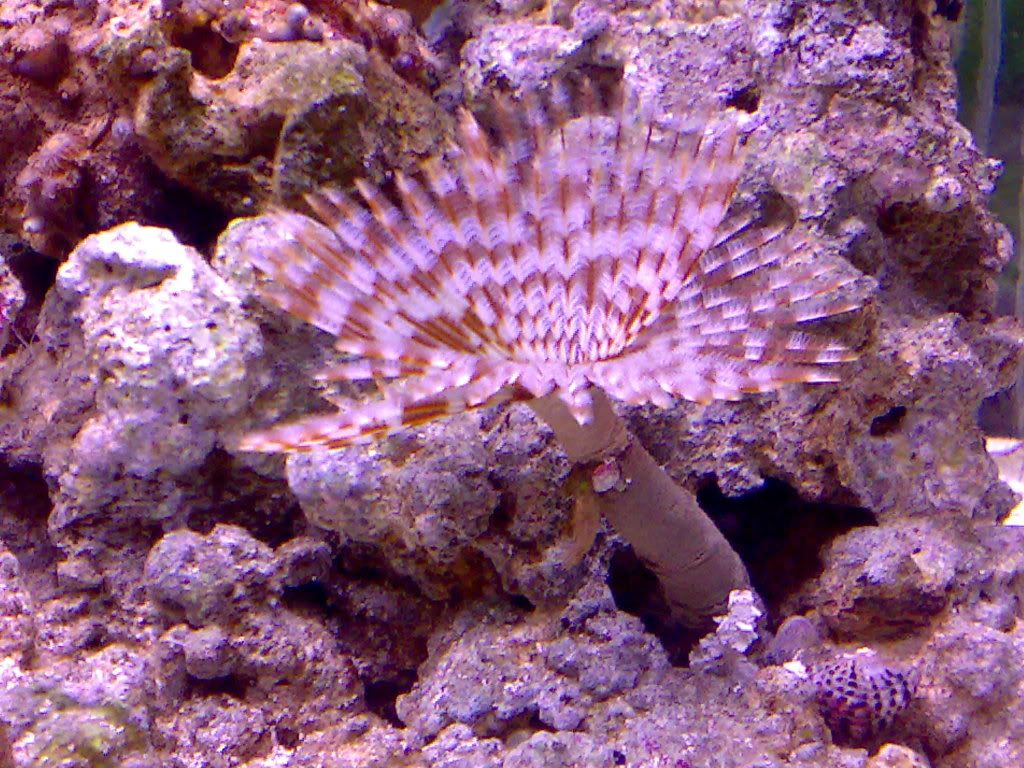 24112008059.jpg