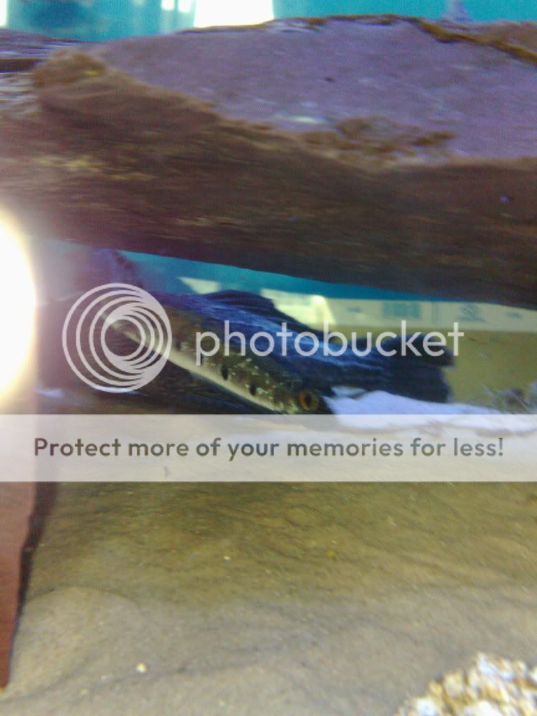 31072009626.jpg