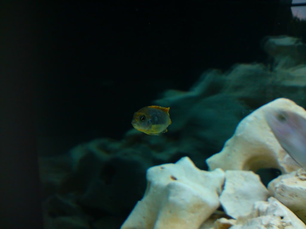 DSC00174.jpg