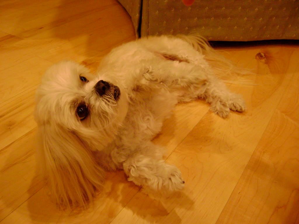 DSC02214.jpg