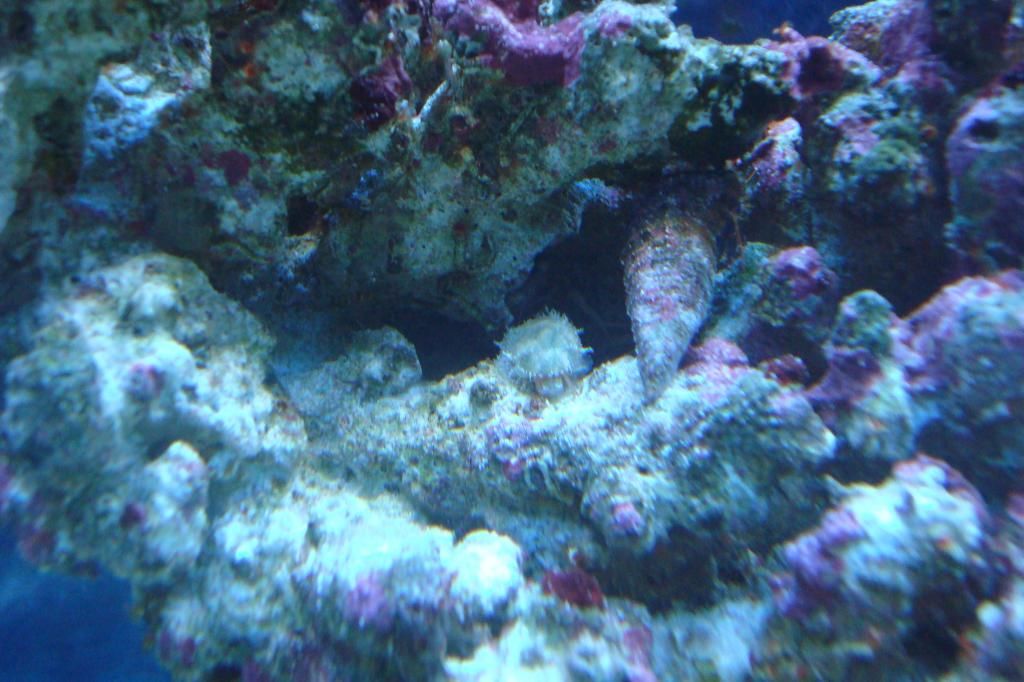 DSC02919.jpg