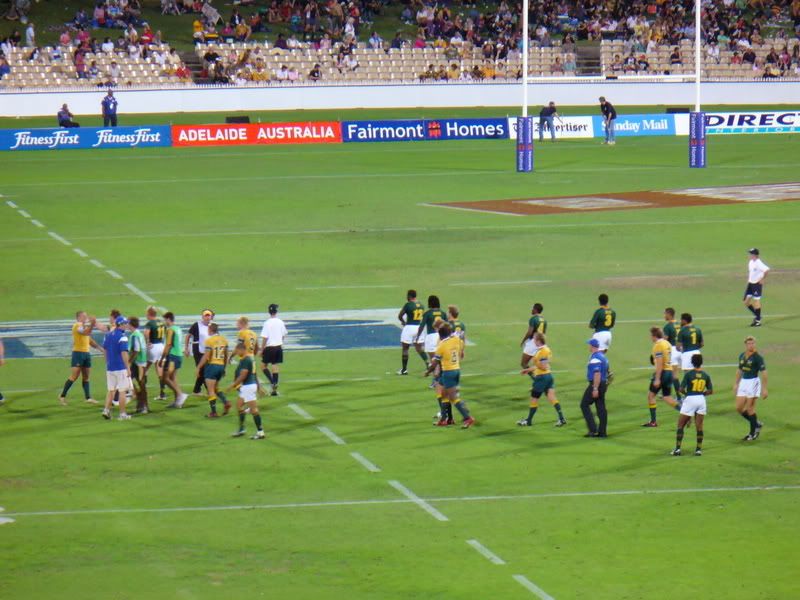 P1010236.jpg