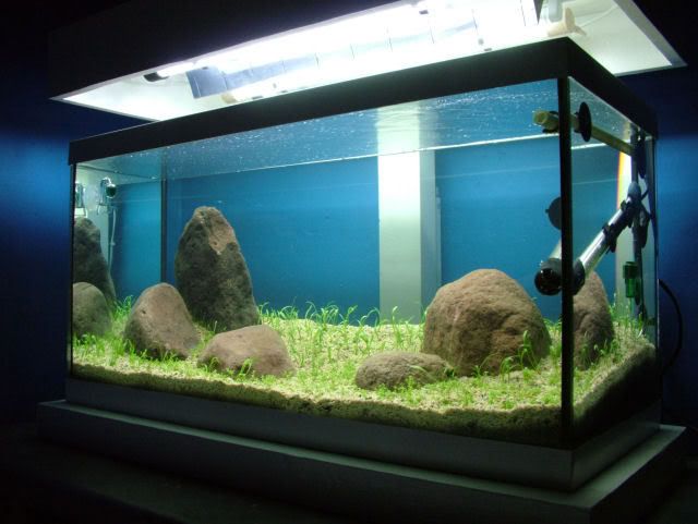 DSCF11381.jpg