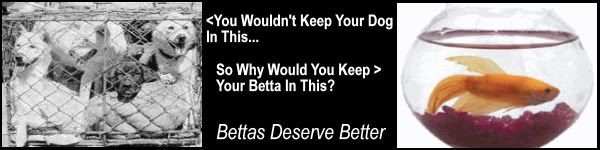 bettasdeservebetter.jpg