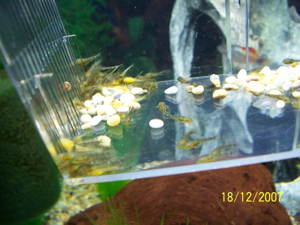 100_3629.jpg