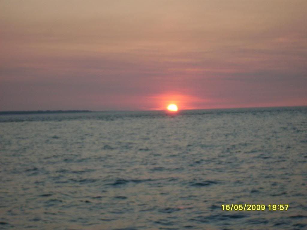 darwin024.jpg