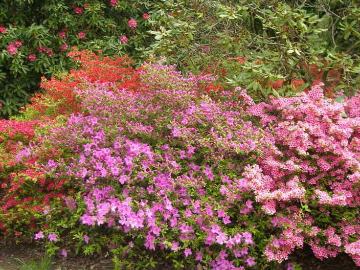 exburygardens004.jpg