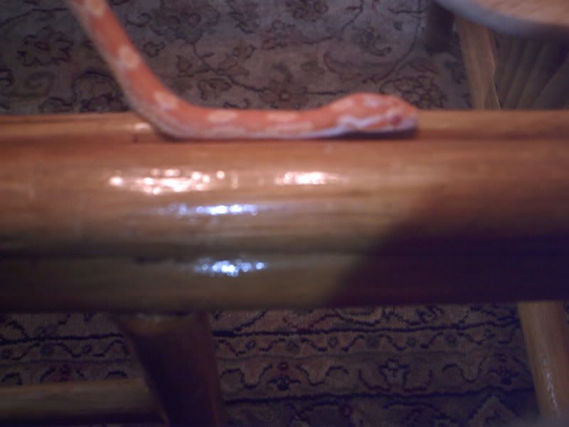 IMAG0142.jpg