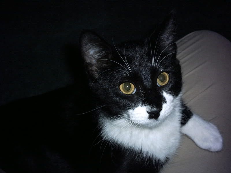Digicamerapics150-1.jpg