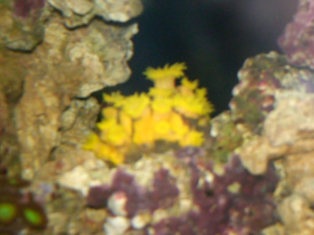 HPIM0338-1.jpg