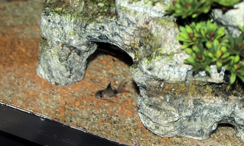 PA110131-2.jpg