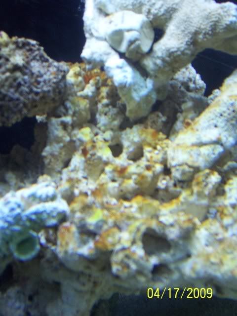 100_5377.jpg