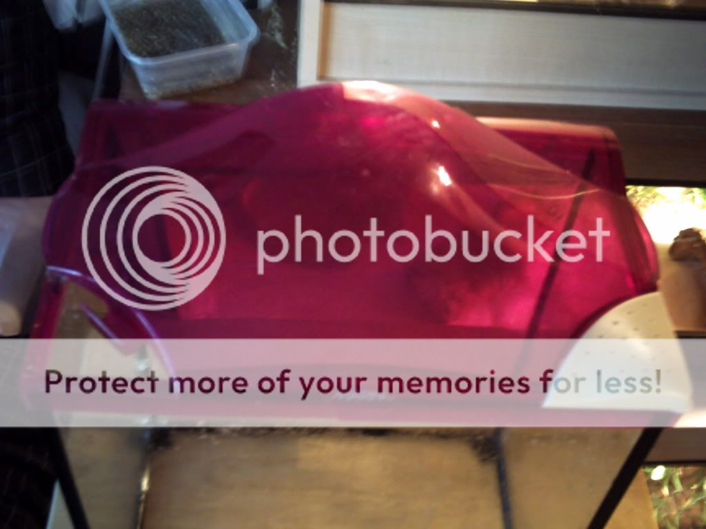 PICT0007.jpg