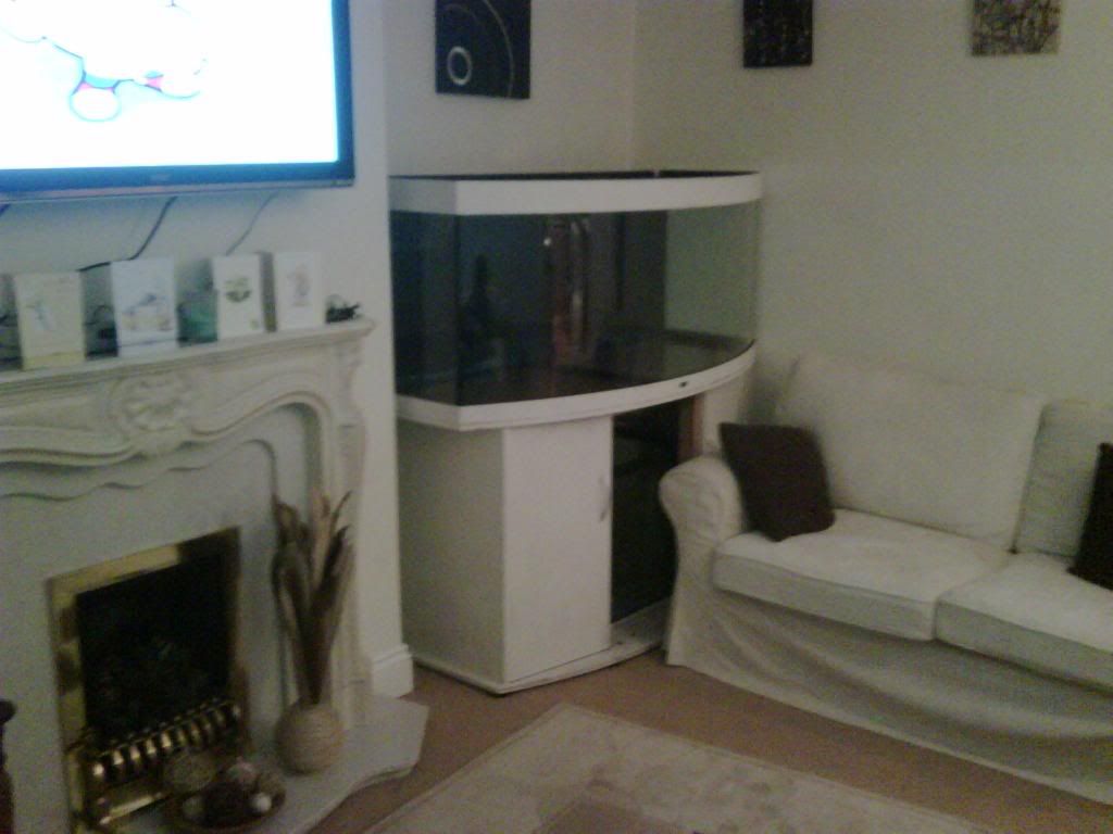 IMG00071-20090416-2122.jpg