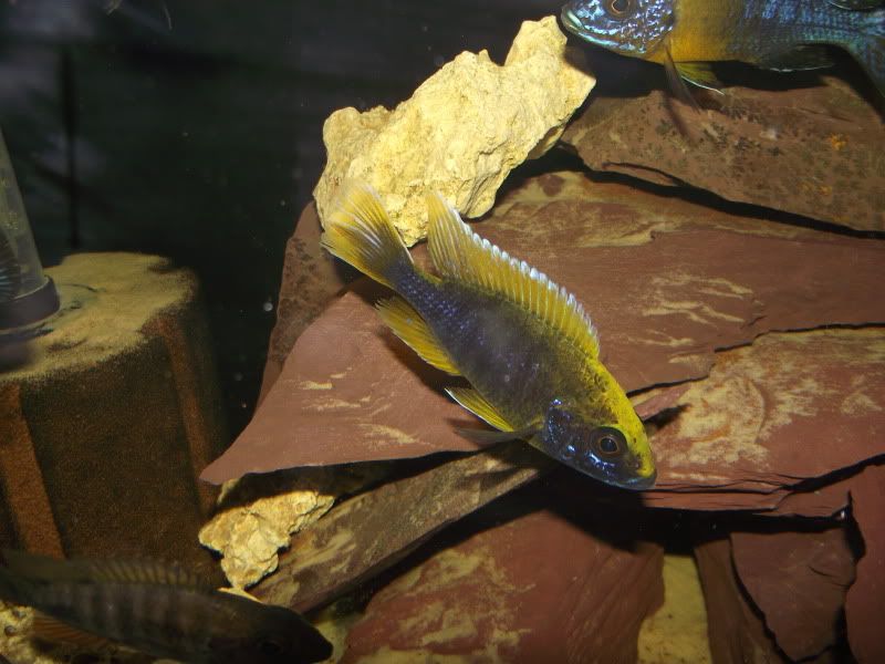 DSCF6596.jpg