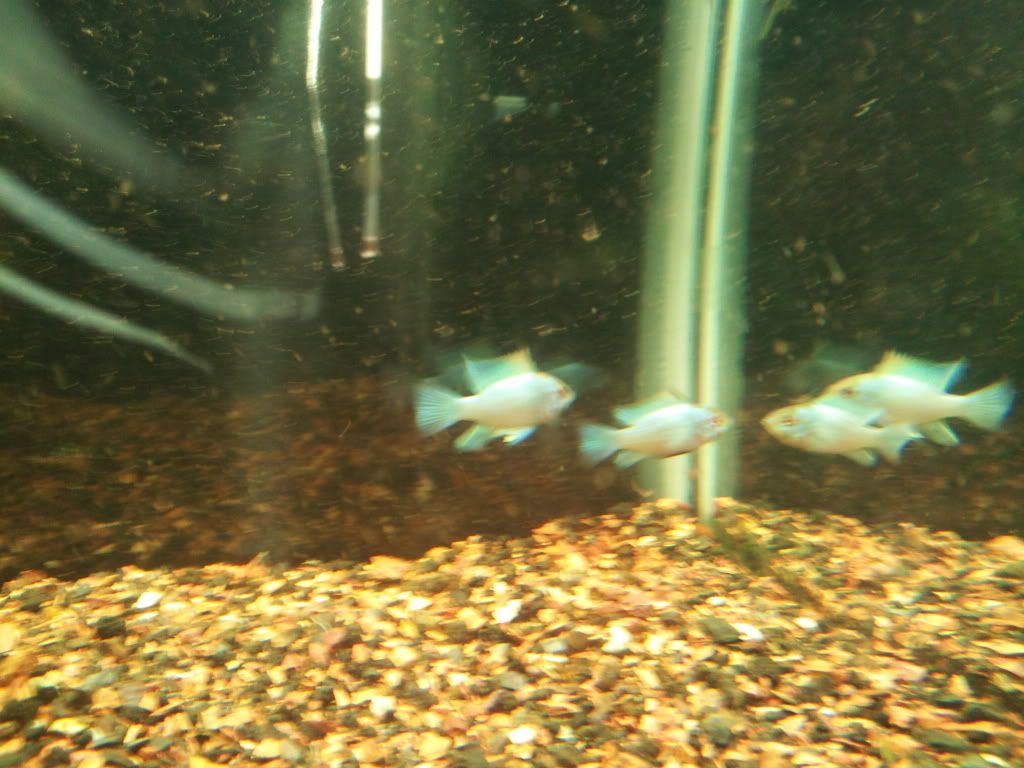2012-06-24183237.jpg