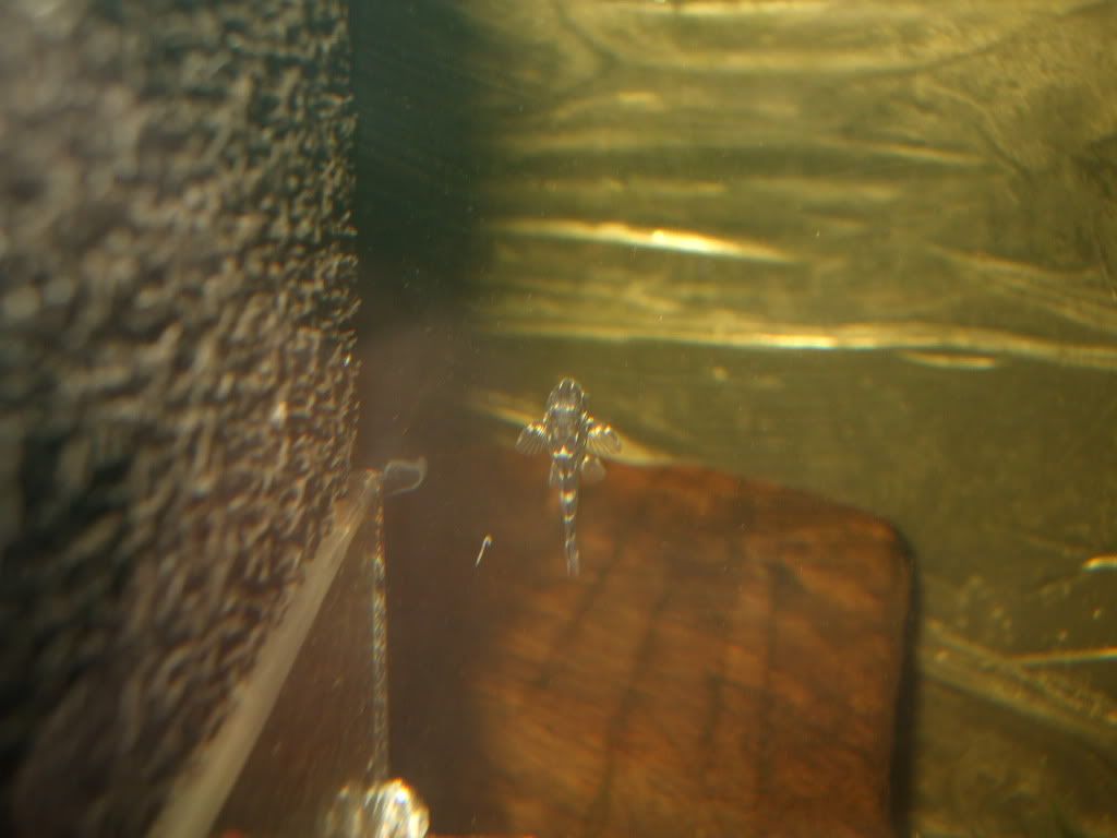 DSCF3298.jpg