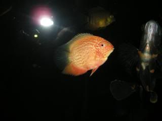 DSCN1790.jpg