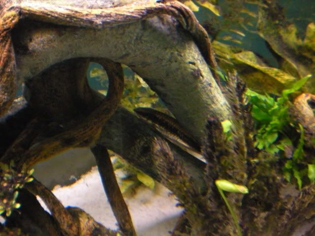 DSCN1980.jpg