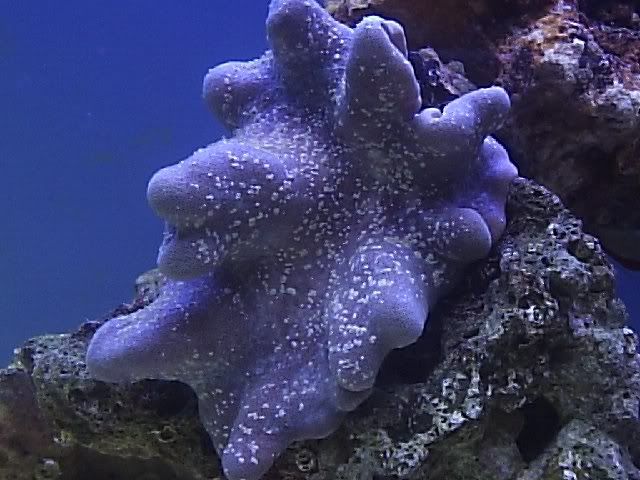 P1010291.jpg