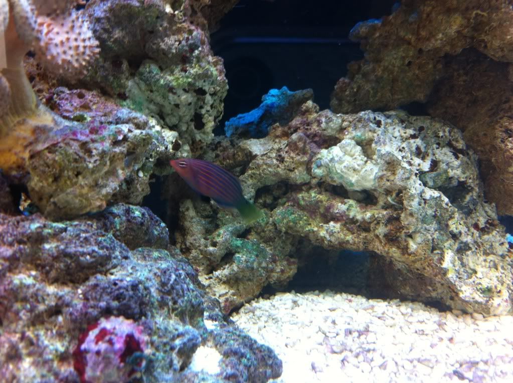 IMG_1108.jpg
