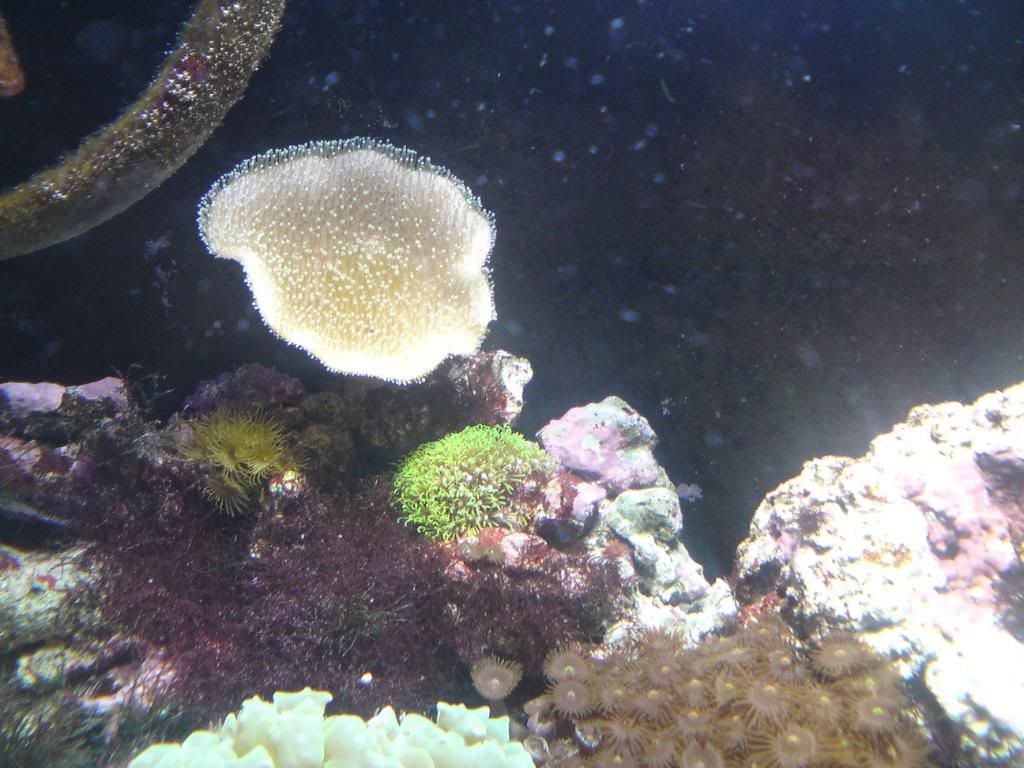 DSC00046.jpg