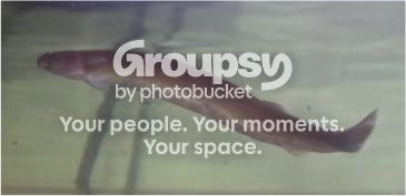 20111113418.jpg