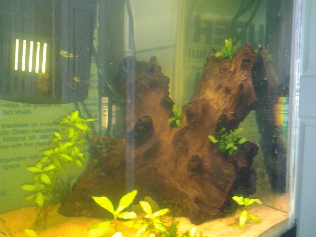 2013-03-23173105_zps348bb6ac.jpg