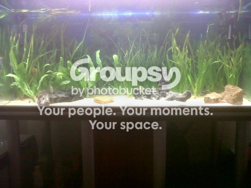 IMG00219-20110710-2144.jpg