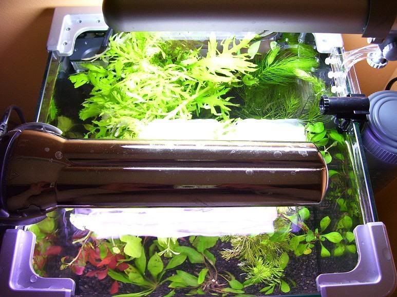 lilltank2.jpg