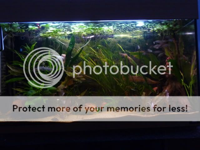P1000863.jpg