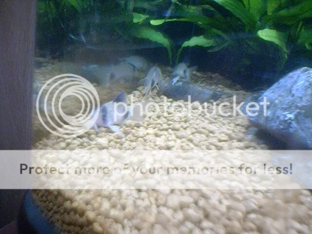 DSC00041.jpg