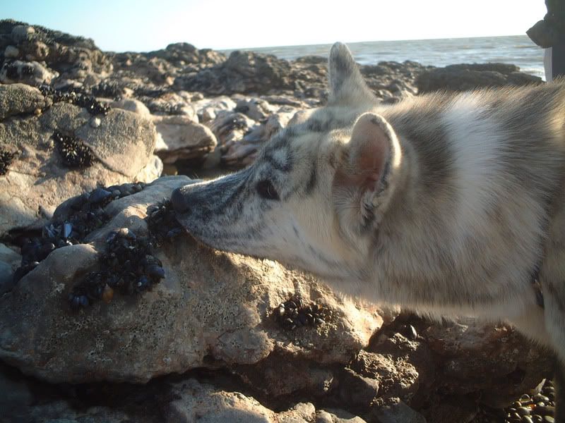 azumiatthebeach2.jpg