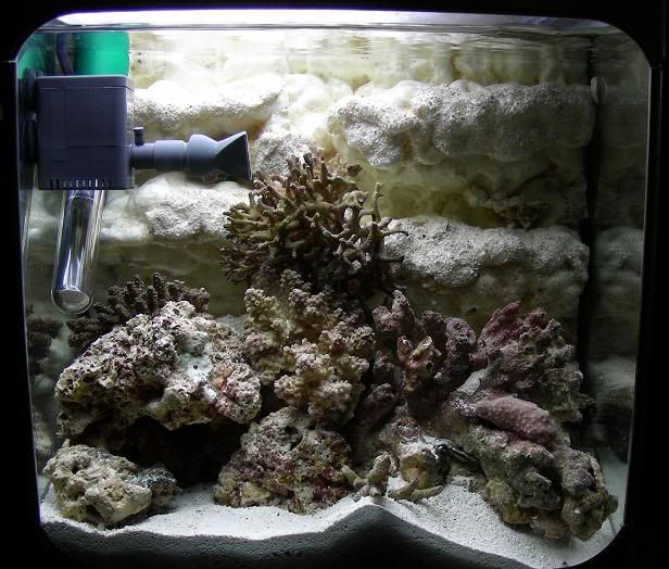 nano2.jpg