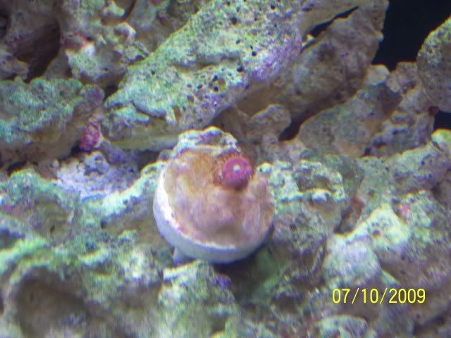 100_7130.jpg
