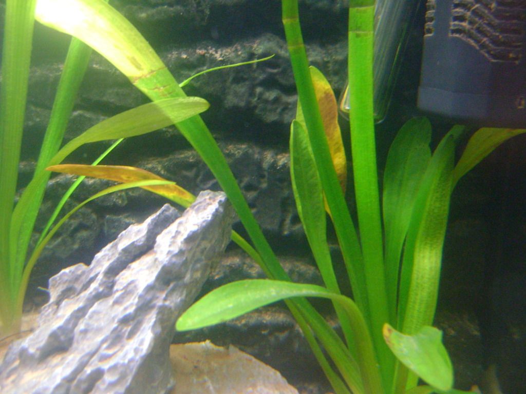 DSC028802.jpg