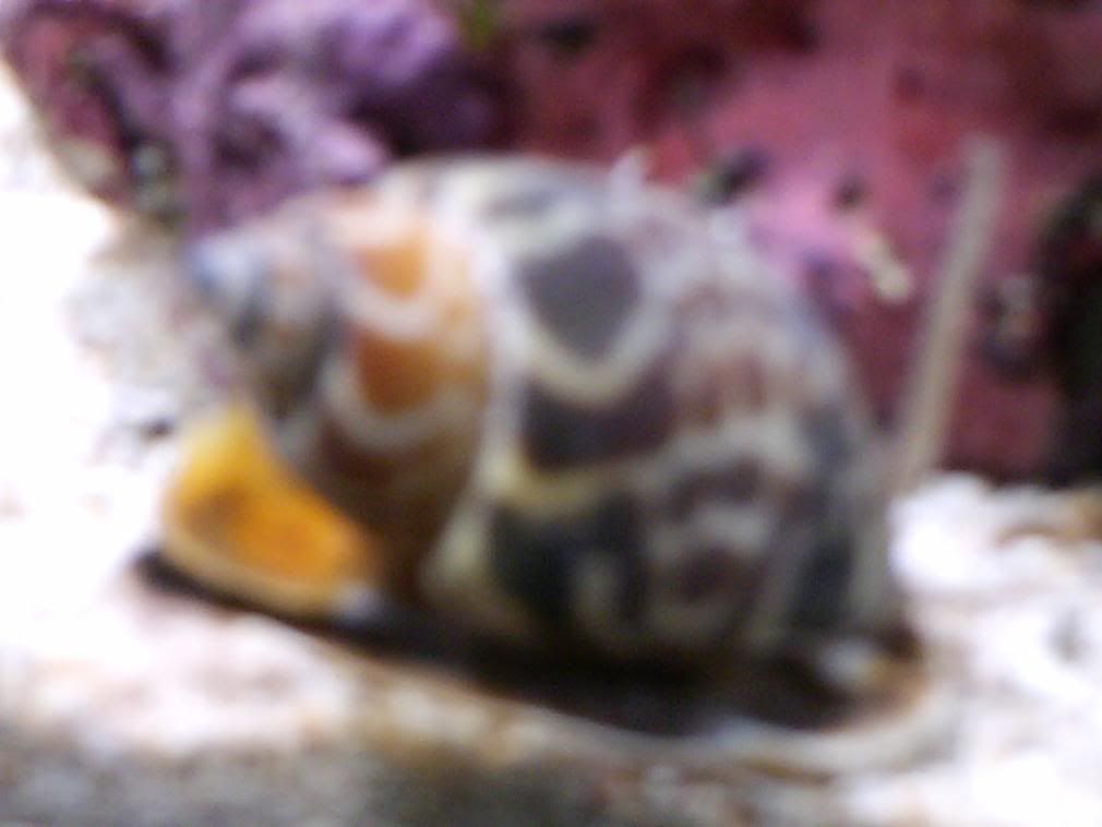 HPIM0555.jpg